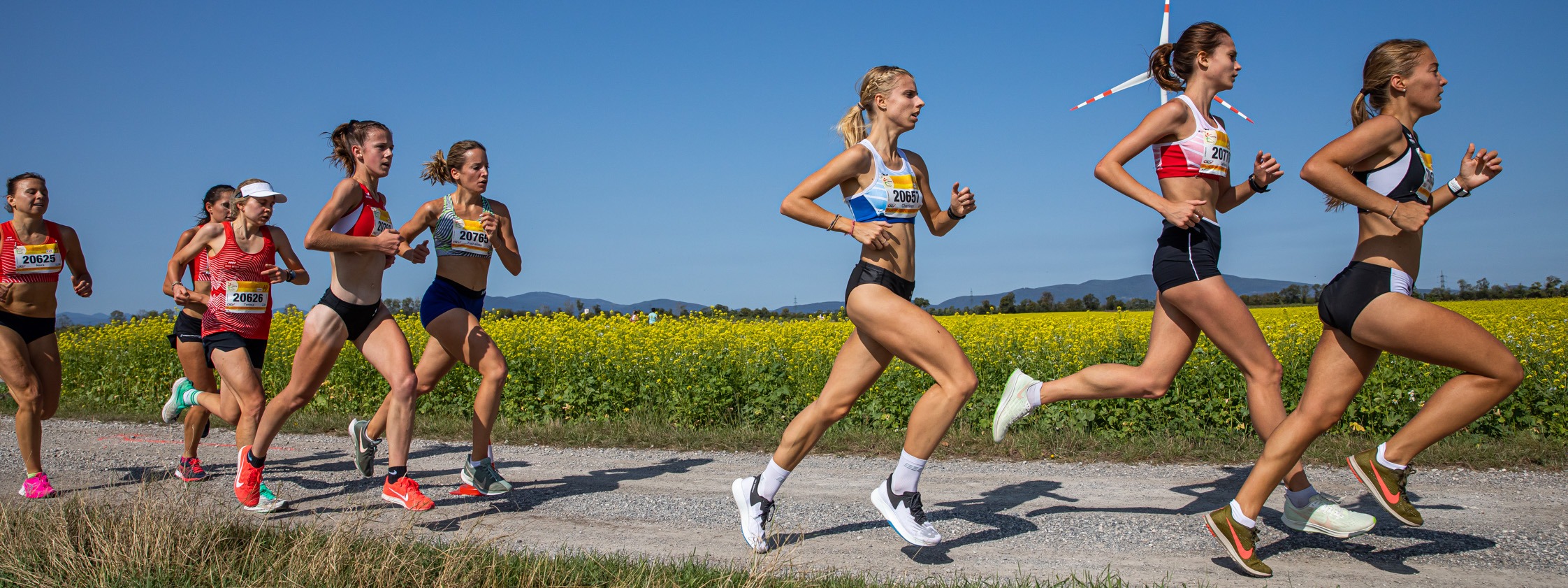 EVN Windpark Run | 1.10.2023